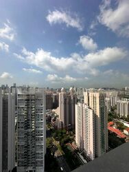 Irwell Hill Residences (D9), Apartment #457632311